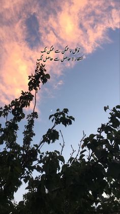 an airplane flying in the sky above some trees and leaves at sunset or sunrise time