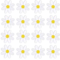 white and yellow daisy flowers with petals in the center, set of eight different sizes