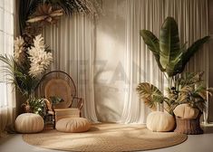 a living room filled with lots of plants next to a white curtained window covered in drapes