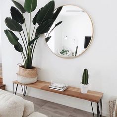 a living room with a mirror and some plants on the table in front of it