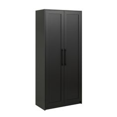 a tall black cabinet with two doors