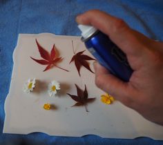 a person holding a spray bottle near some leaves and daisies on a piece of paper