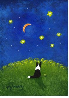 a black and white dog sitting on top of a lush green field under a night sky