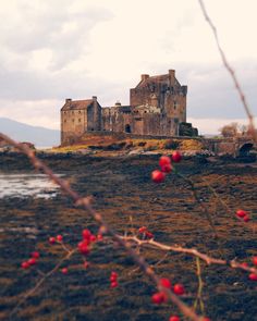 an old castle sitting on top of a hill with red berries hanging from it's branches