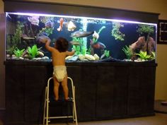 a young child standing on a stool in front of an aquarium