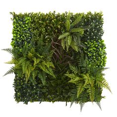 a green wall with lots of plants growing on top of it and the bottom half is covered in leaves