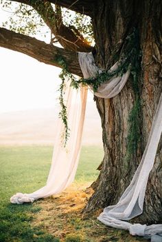 an image of a tree decorated with greenery and white draping for a wedding