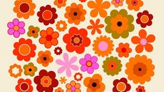 colorful flowers are arranged in the shape of a circle on a white background with red, orange and pink colors