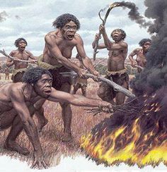 El fuego fue descubierto por el Homo erectus. Ha sido utilizado   y conservado  desde hace unos 700,000 años. Su importancia para  la  evolución del  género homo  estriba en que; el mantenimiento del fuego permitió la  estabilidad en el hábitat y la existencia de estructura sociales  estables, aumentó el  control sobre el medio exterior ( protección contra el frío, defensa de los animales ,etc.). Pre Historia, Homo Erectus, Prehistoric Man, Sejarah Kuno, Prehistoric World, Paleo Art