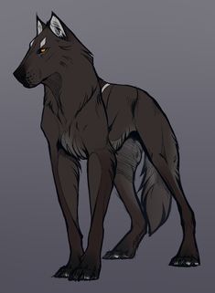 a drawing of a black wolf standing in front of a gray background