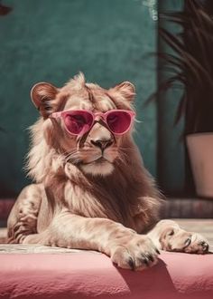 a lion wearing pink sunglasses sitting on top of a red table next to potted plants