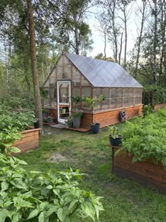 an outdoor garden with lots of plants growing in it and a greenhouse on the other side