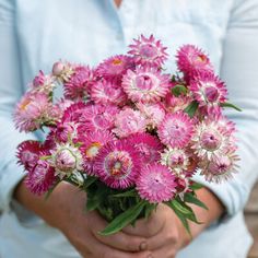 a person holding a bouquet of pink flowers