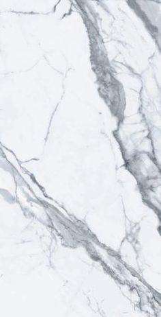 an image of white marble with black veining