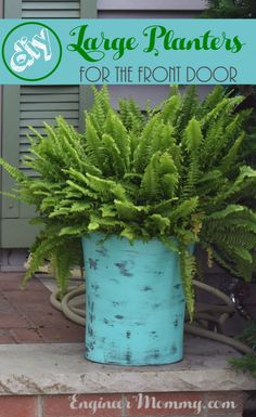 a blue potted plant sitting on top of a brick step with the words large plants for the front door