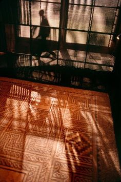 the shadow of a person riding a bike in front of a window with an area rug on it