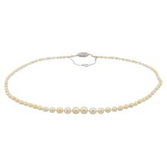 Cartier saltwater pearl necklace with original box. 85 natural Saltwater Pearls set together by a 56 round cut diamond set screw closure. This marvelous necklace is a true rarity. Dating back over 100 years and made by the famed French jeweler, Cartier. Complete with the original Cartier box. SKU: J17725N Metal: 14K Weight: 13.76 grams Pearl Type: Saltwater (Not cultured) Pearl Size: 85 pieces, 2.50-7.63mm GIA: #6193940926 Cartier Pearl Necklace, Vintage Cartier Diamond Jewelry, Classic Cartier Diamond Necklace For Formal Occasions, Cartier Elegant Diamond Wedding Necklace, Classic Akoya Pearl Diamond Necklace For Anniversary, Elegant Cartier Diamond Necklace For Wedding, Vintage Akoya Pearl Necklace For Formal Occasions, Cartier Hallmarked Necklace For Anniversary, Cartier Classic Formal Necklace