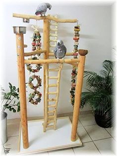 two birds sitting on top of a wooden ladder with beads and chains hanging from it