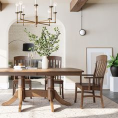 a dining room table with chairs and a potted plant