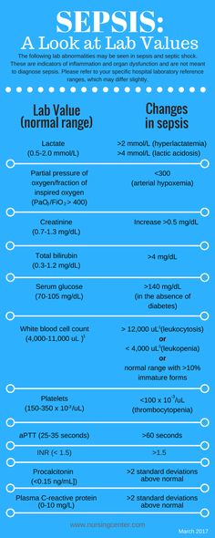 a blue poster with the words sepis and an image of different types of blood vessels