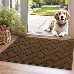 a dog is sitting on the door mat