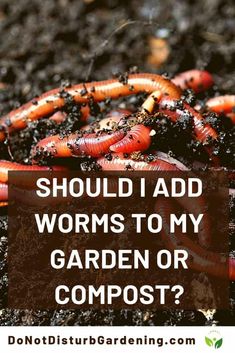 worms in the dirt with text that reads should i add worms to my garden or compost?