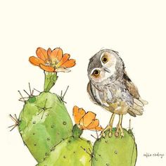 an owl sitting on top of a cactus with orange flowers in the foreground and a white background