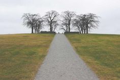 a dirt road with trees on both sides and grass on the other side, in front of a grassy field