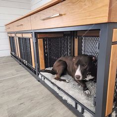 a brown and white dog laying on top of a bed in a wooden desk area