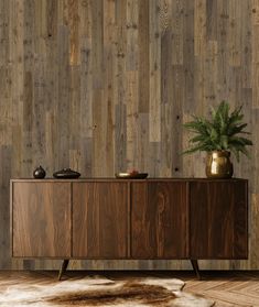 a sideboard with a potted plant sitting on top of it next to a wooden wall