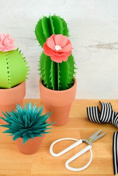 three potted cactus plants sitting on top of a wooden table next to scissors and ribbon