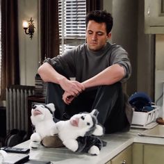 a man sitting on top of a kitchen counter next to two stuffed animals in front of him