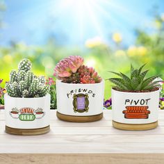 three potted plants sitting on top of a wooden table