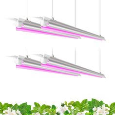 PRICES MAY VARY. Full Spectrum - Barrina LED grow lights 4ft provide light that infinitely close to natural light, best for all plants seeding, growth and bloom. We provide the most reasonable grow light wave based on the ratio of the absorption of the plant. Super Bright and High PPFD - Consume only 168W with 768 LEDS totally, replacing 1000w general plant lights. Over 95% light energy can be absorbed by plants. It works extremely well for your plant grow tents, plant grow shelves, seedling cul Grow Shelves, Plant Lights, Plant Light, Led Grow Light, Grow Light, Led Grow, Light Strip, Full Spectrum, Grow Lights