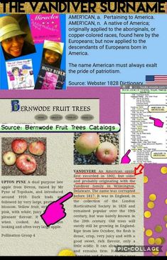 an advertisement for the fruit tree catalog, with information about its origin and description in english