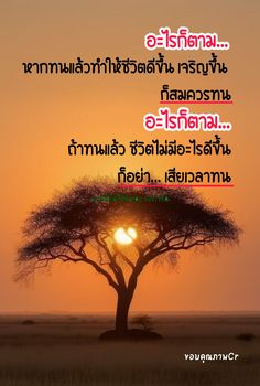 a tree with the sun setting behind it and some words written in thai on top