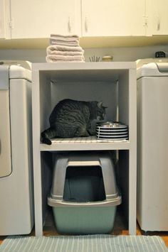 a cat sitting on top of a shelf next to washer and dryer in a kitchen