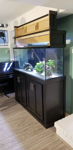 a fish tank sitting on top of a wooden floor next to a wall mounted aquarium