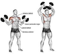 an image of a man doing exercises with dumbbells on his chest and back