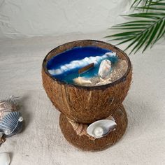 a coconut shell with sea shells around it