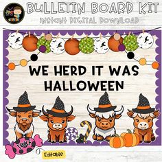 we herd it was halloween bulletin board with three cows wearing witches hats and pumpkins