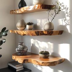 three wooden shelves with plants and vases on them