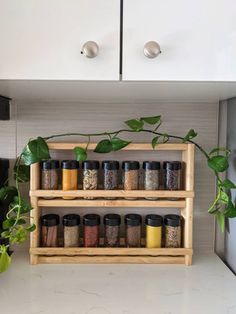 spice rack in the kitchen with spices and herbs