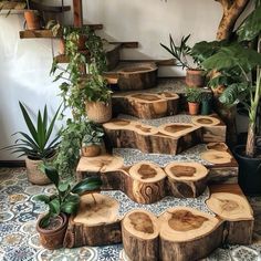 a set of wooden steps made out of tree slices and plants in pots on the floor