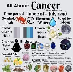 I am a June 29th boring baby. 🌺🕊️ June Magick, My Zodiac Sign, Zodiac Signs Elements, Art Planner, Astrology Meaning, Zodiac Signs Chart, Zodiac Sign Traits, Fantasy Props, Zodiac Signs Horoscope