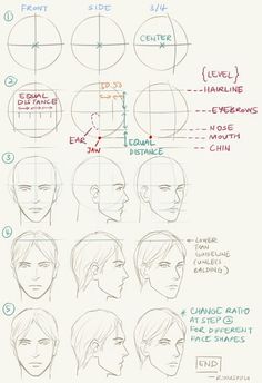 how to draw the face and head in different ways, with instructions for beginners