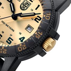 Presenting the Luminox Leatherback SEA Turtle Giant Mens Watch XS.0325.GP, a remarkable blend of refined elegance and matchless resilience. As a perfect companion for the modern man, this eye-catching timepiece is designed for those who appreciate the finer things in life. Impeccable Design: The watch features a resplendent gold dial and contrasting black numerals and hands for easy readability and bold style. The stunning design ensures you make a statement wherever you go. Unmatched Durability Leatherback Sea Turtle, Luminox Watches, Jet Fighter Pilot, Outdoor Watch, Bear Grylls, Lockheed Martin, Swiss Made Watches, Jet Fighter, Going For Gold