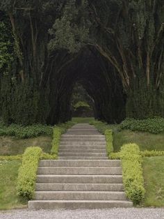 a set of steps leading up to an entrance into a forest filled with trees and bushes