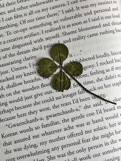 a four leaf clover laying on top of an open book