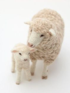 two sheep standing next to each other on a white surface